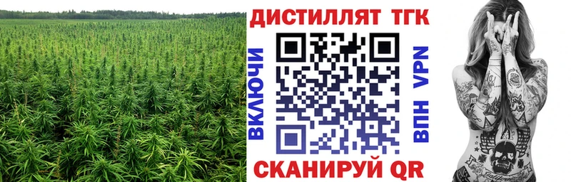 ТГК гашишное масло  mega ONION  Камышлов 